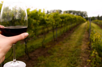 Main Attractions in the GTA & Southern Ontario