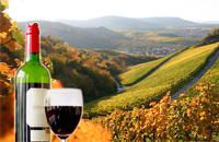 Book a Limo to the Niagara Winery